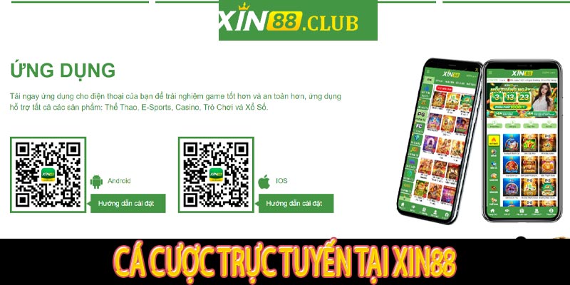 Cá cược trực tuyến tại Xin88