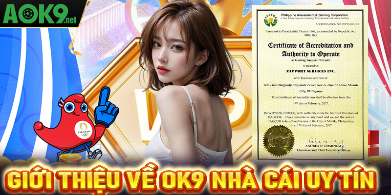 Giới thiệu về OK9 nhà cái uy tín 